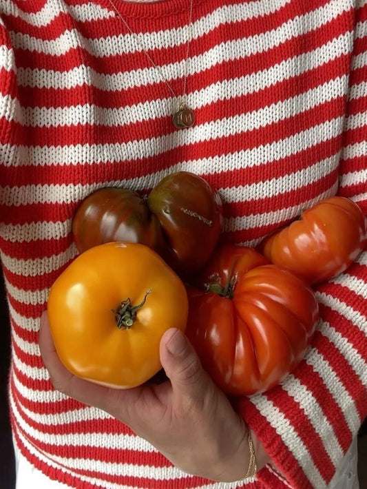 Notes from the Studio 01