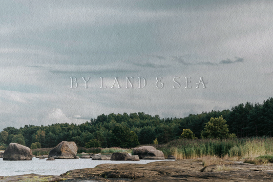 Branding // A Shop Rooted in Nature