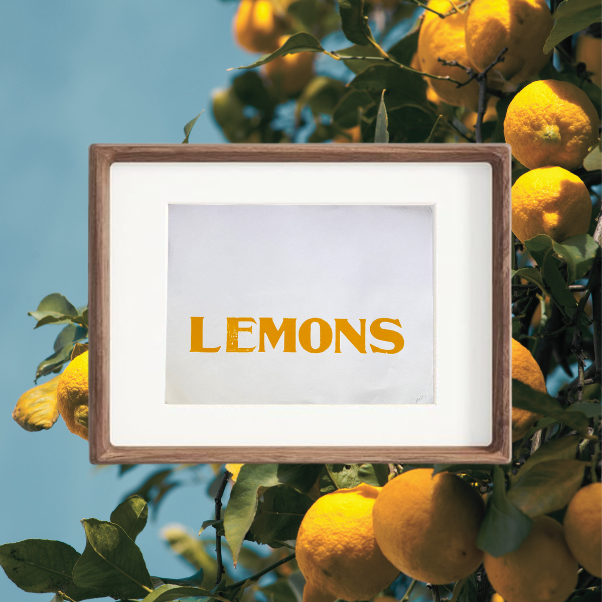 Lemons - Letterpress Print